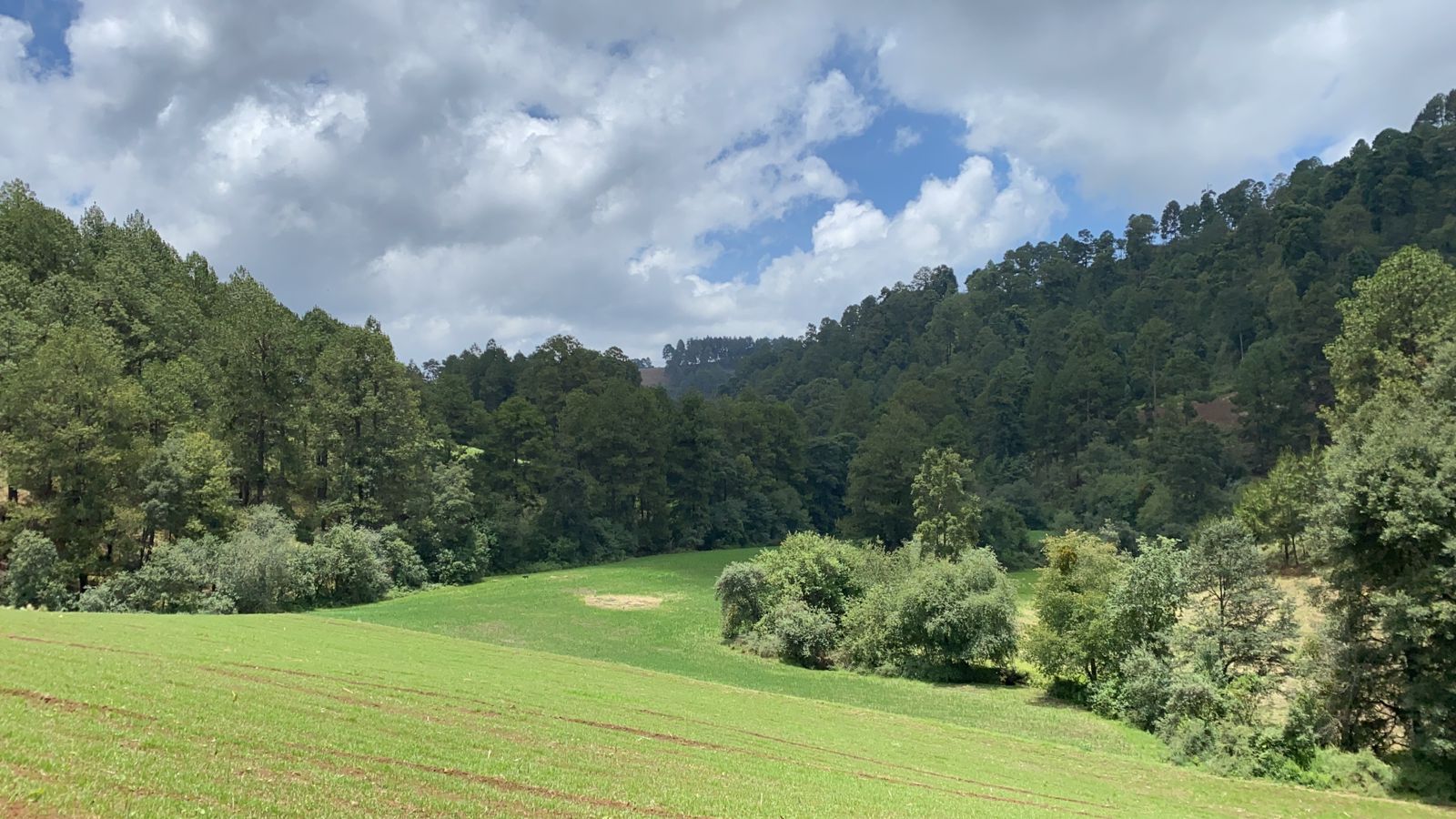 Home Imagen De WhatsApp 2025 10 29 A Las 16.43.19 4544c2ae