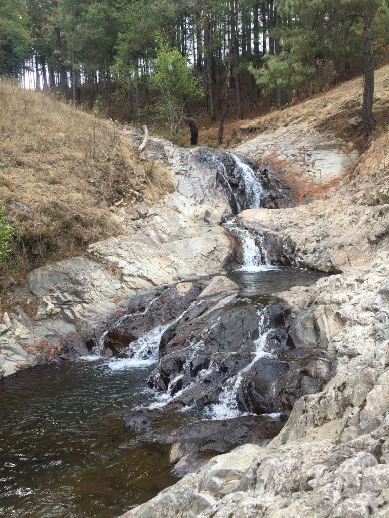 Imagen de WhatsApp 2025-10-29 a las 16.43.19_6accb9f0 Imagen De WhatsApp 2025 10 29 A Las 16.43.19 6accb9f0 768x1024